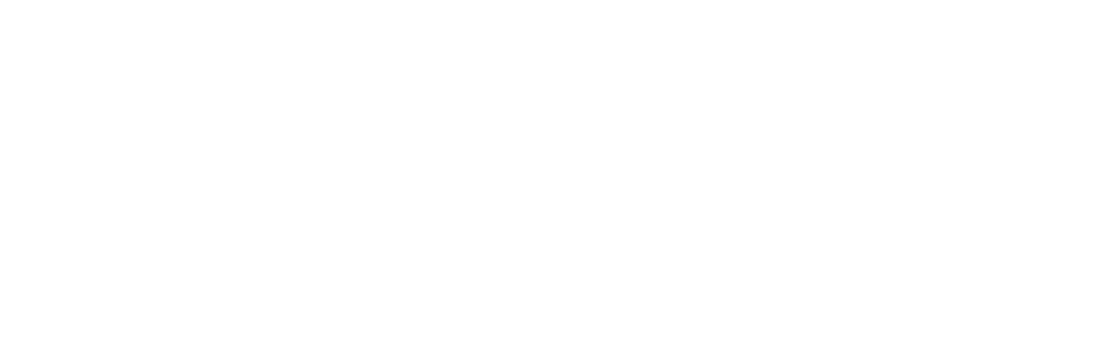 Young African Leaders Summit